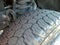 2021 Ford Super Duty F-250 SRW XLT 4WD Crew Cab 6.75' Box