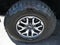 2023 Ford F-150 Raptor 4WD SuperCrew 5.5' Box