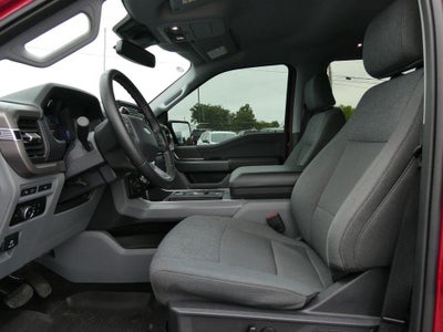 2024 Ford F-150 XLT 4WD SuperCrew 5.5' Box